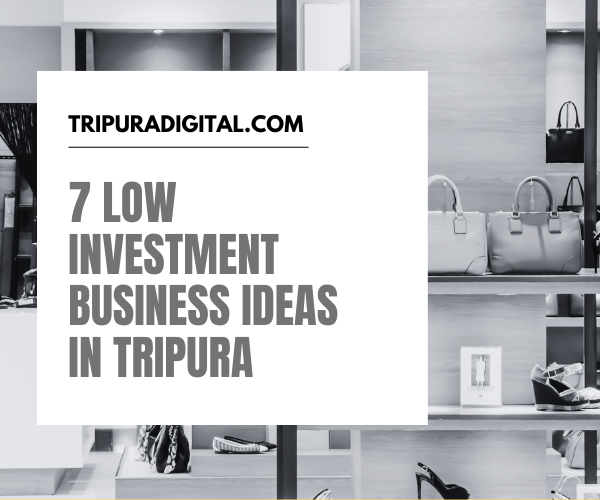 7 Low Investment Business Ideas In Tripura